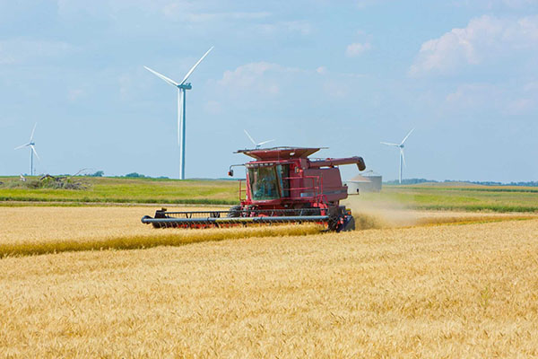 Combine in field