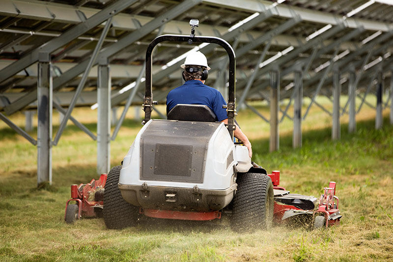 Man mowing grass between solar panels
