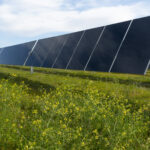 Wild Springs Solar Project