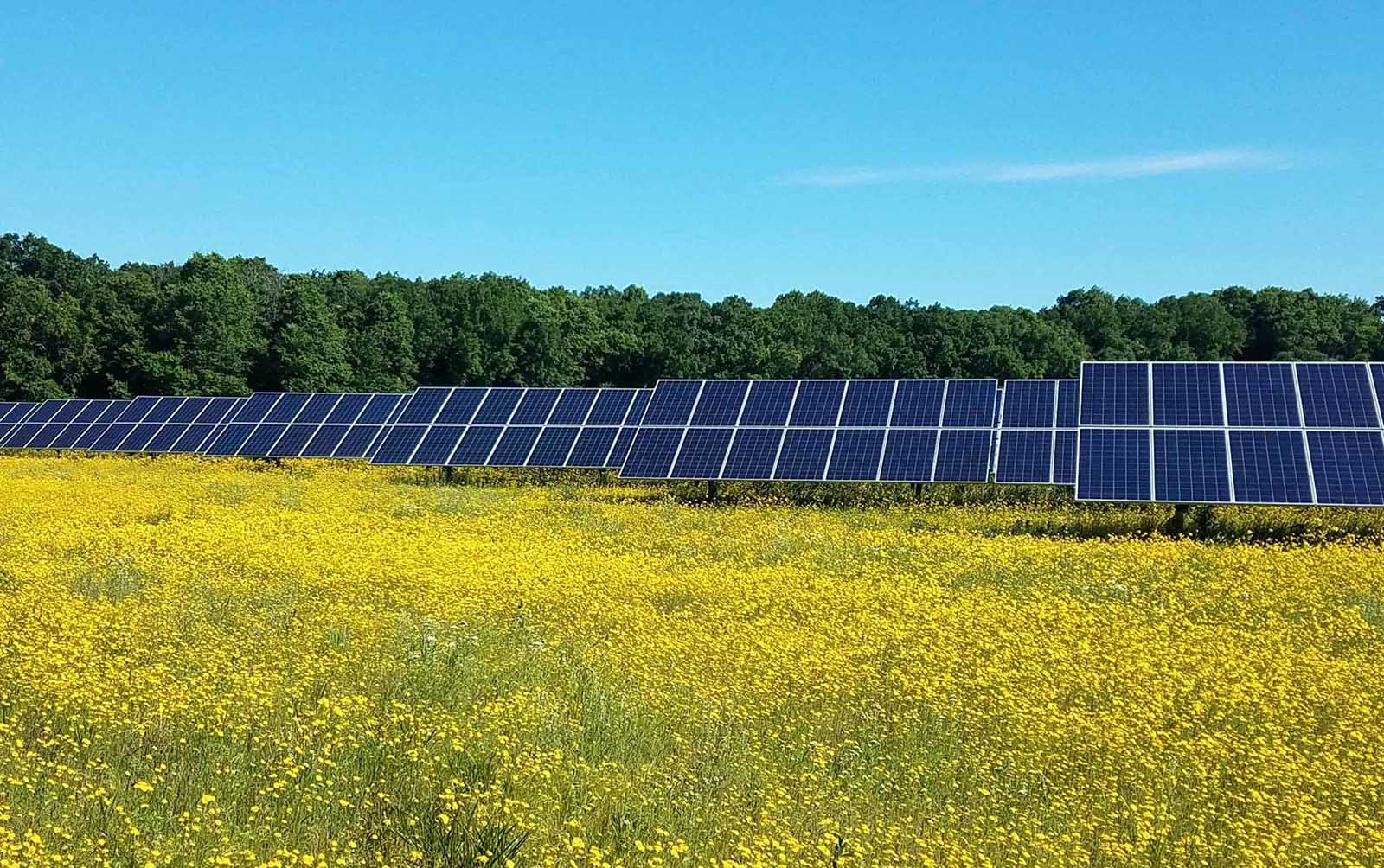 Portage Solar Project - National Grid Renewables