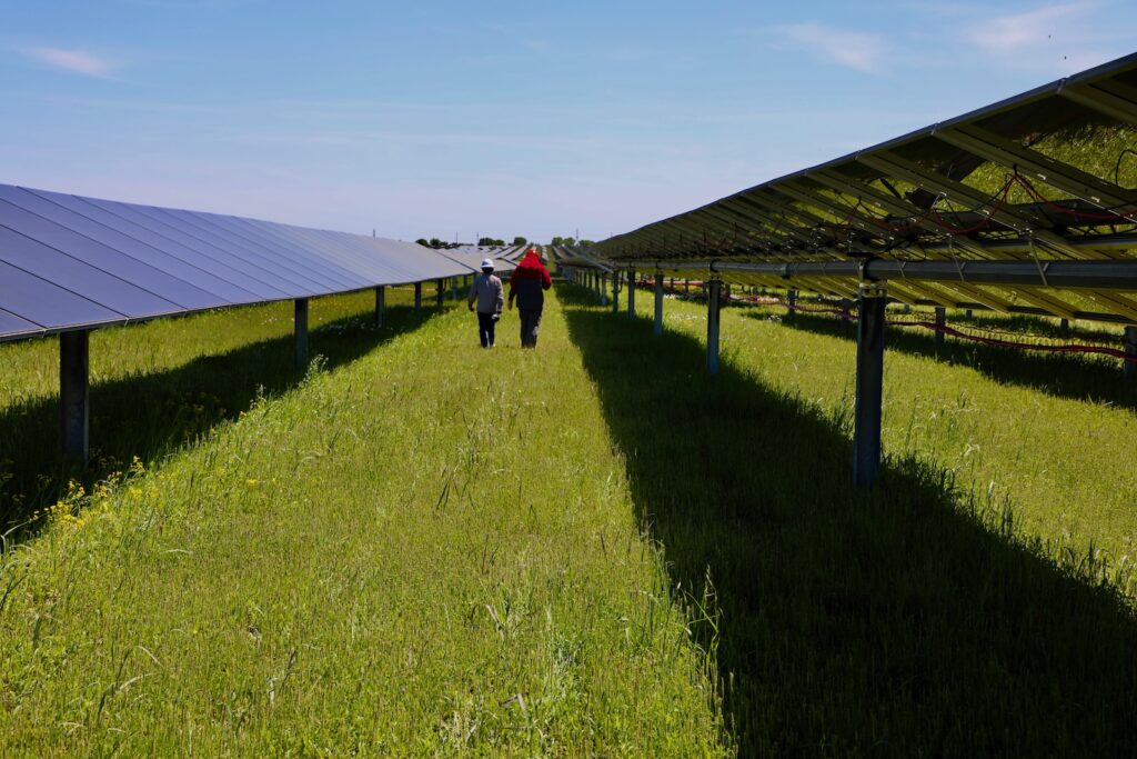6 Steps for Building a Successful Solar Project